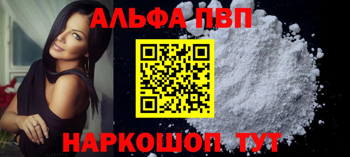 A PVP СК КРИС Курчалой
