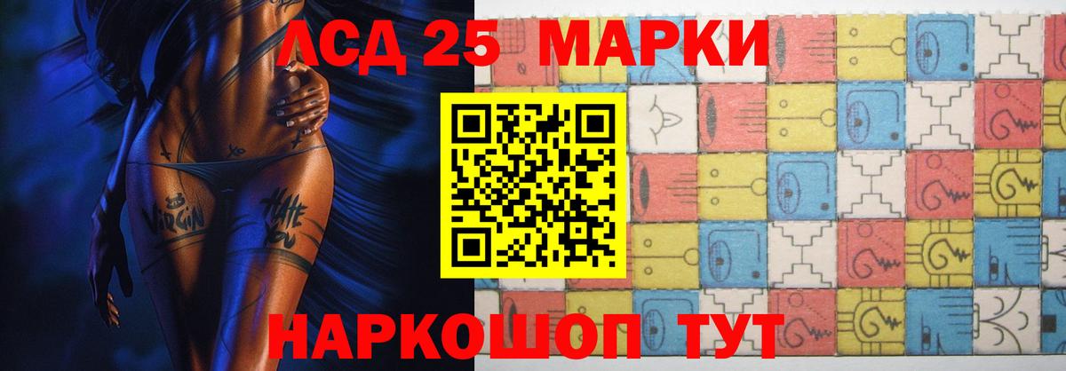 Курчалой  Лсд 25 экстази кислота  Вход с VPN  Лсд 25 экстази кислота 